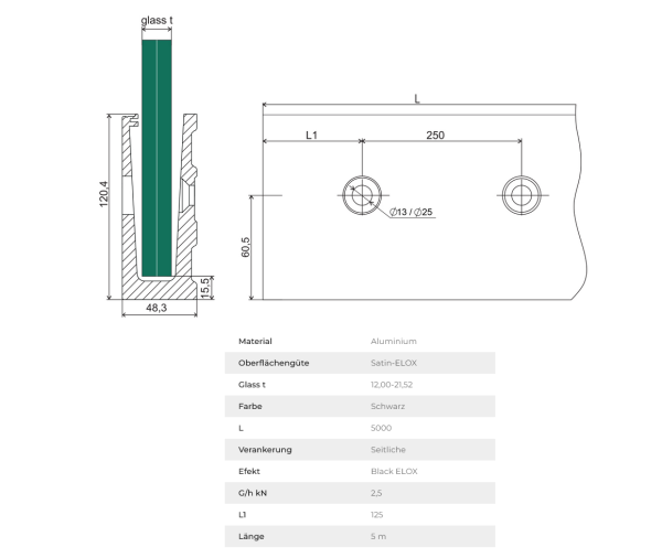 Aluminium Ganzglasgeländer U-Bodenprofil vorgesetzt 5000mm 1,0kN Glasgeländer Schwarz Elox